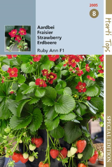 Strawberry Ruby Ann F1 (Fragaria) 7 seeds HT